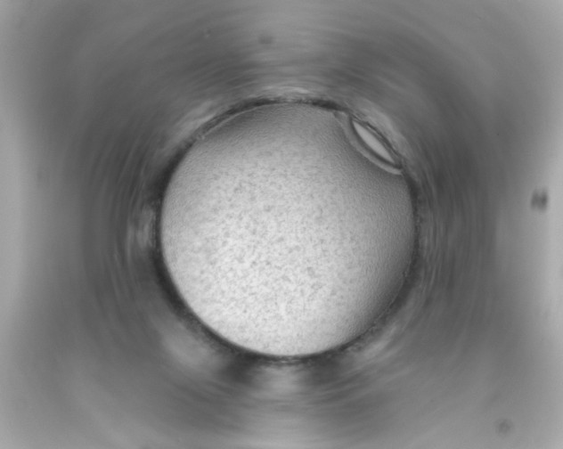 X0000093110071200710241250