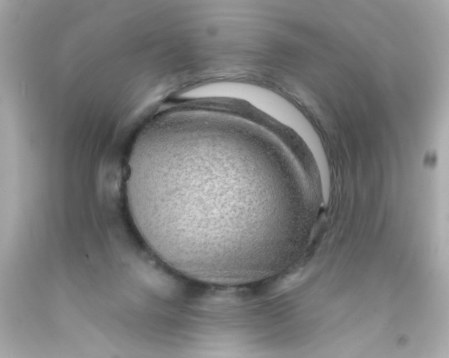 X0000093110072200710241250