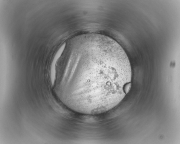 X0000093110073200710241250