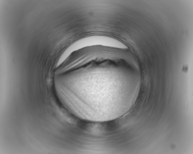 X0000093110074200710241251