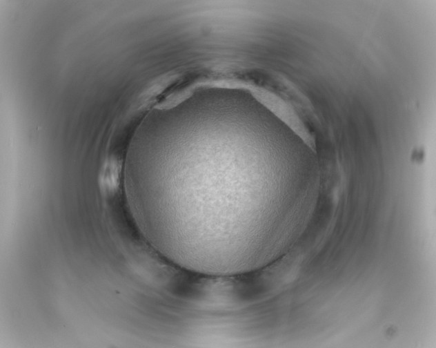 X0000093110075200710241251