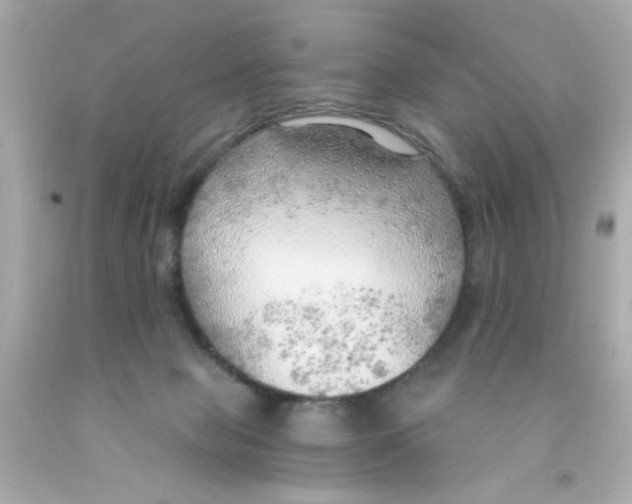 X0000093110077200710241251