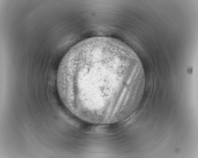 X0000093110078200710241251