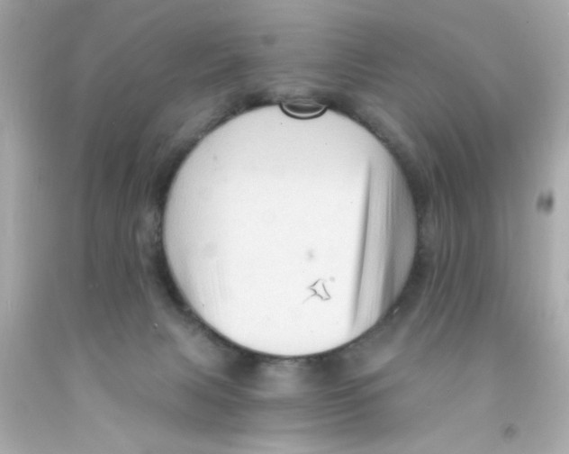 X0000093110079200710241251