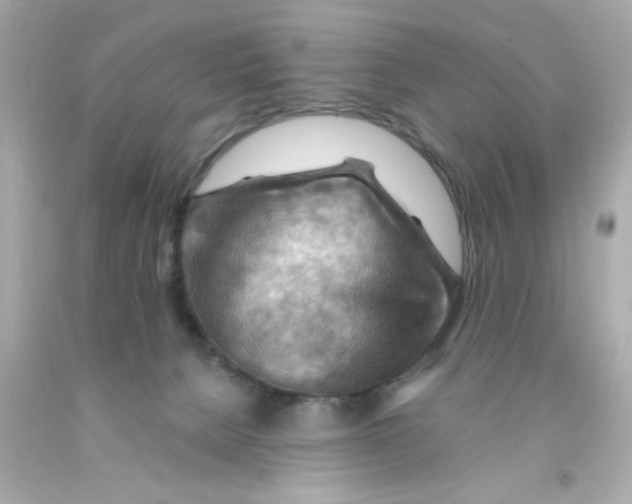 X0000093110080200710241251