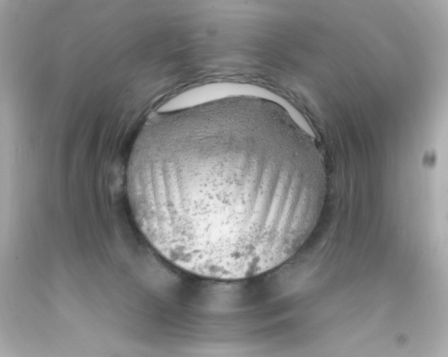 X0000093110081200710241251