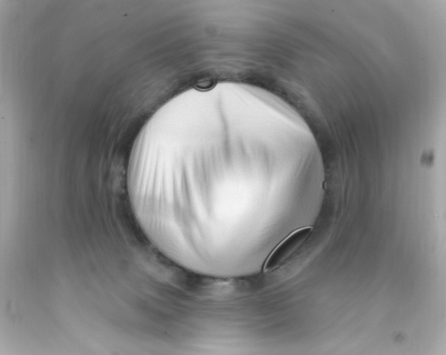 X0000093110083200710241251