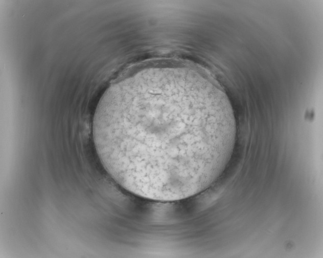 X0000093110085200710241251