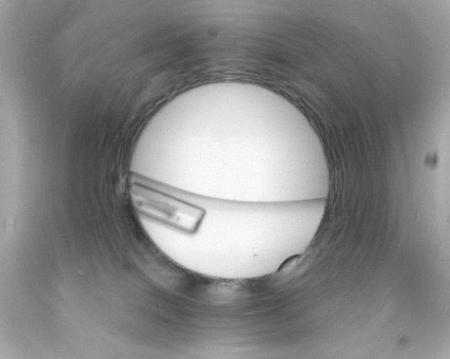 X0000093110086200710241251