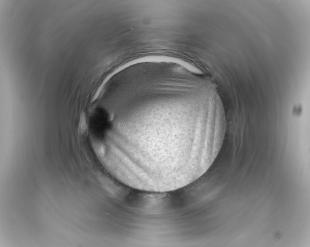 X0000093110089200710241251