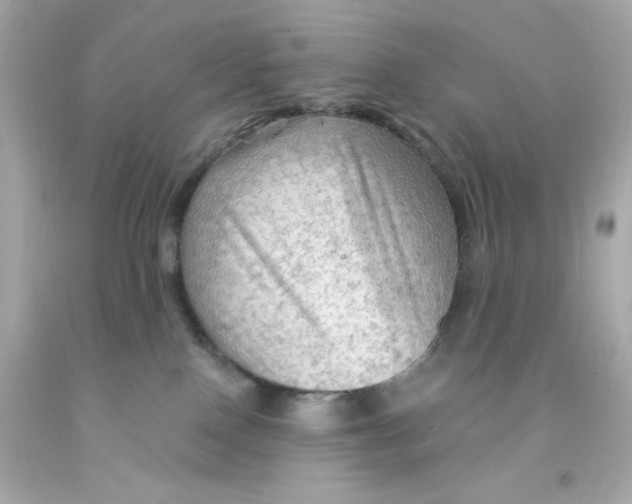 X0000093110090200710241251