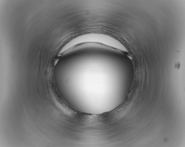 X0000093110092200710241251