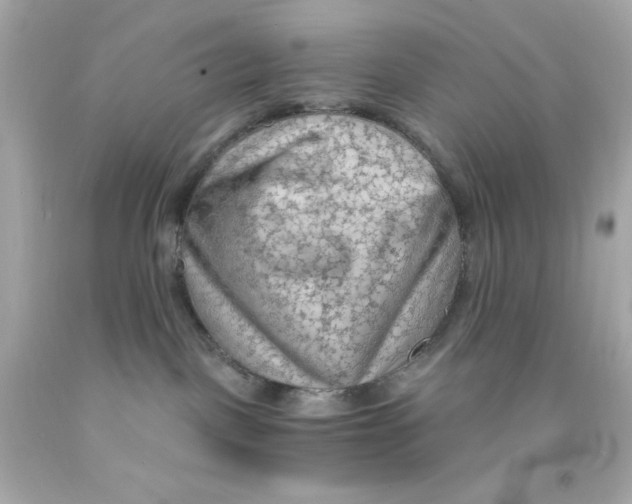 X0000093110093200710241251