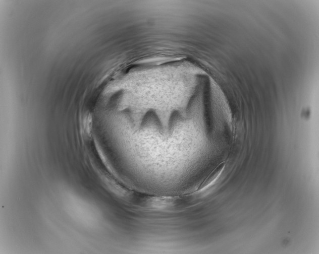 X0000093110094200710241251