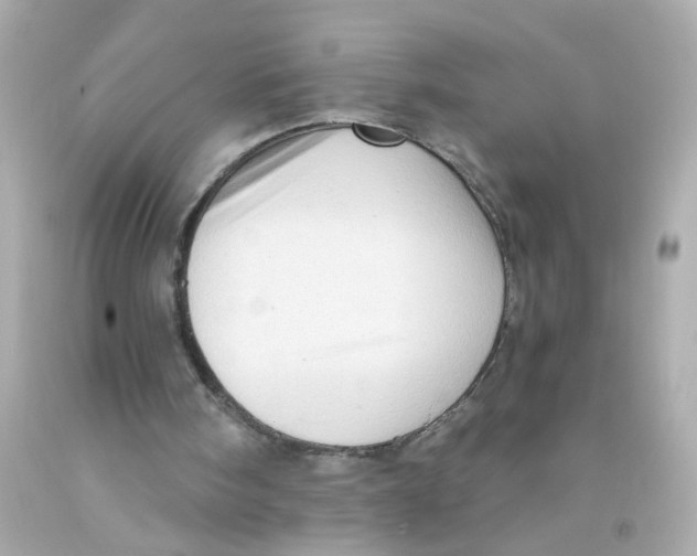 X0000093110098200710241250