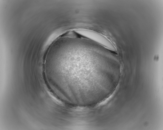 X0000093110101200710241250