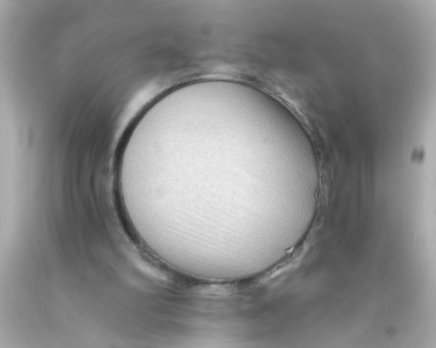 X0000093110102200710241250