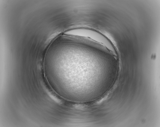 X0000093110105200710241250