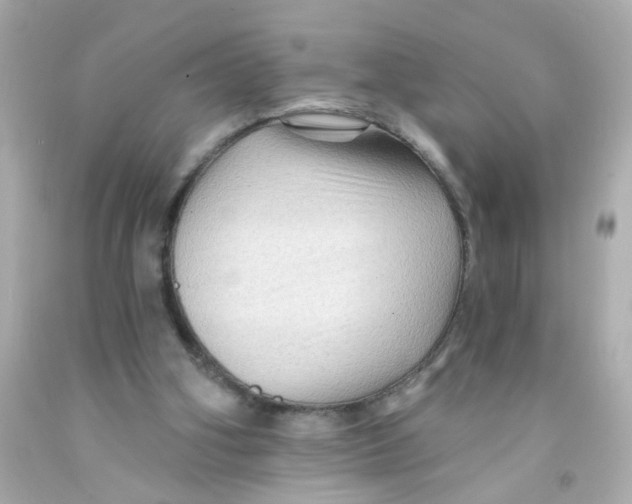 X0000093110106200710241250