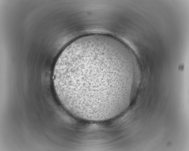 X0000093110111200710241250