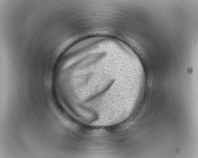 X0000093110112200710241250