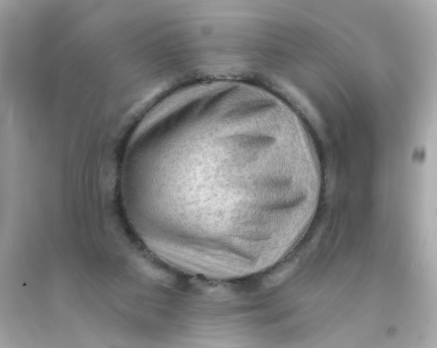 X0000093110113200710241250