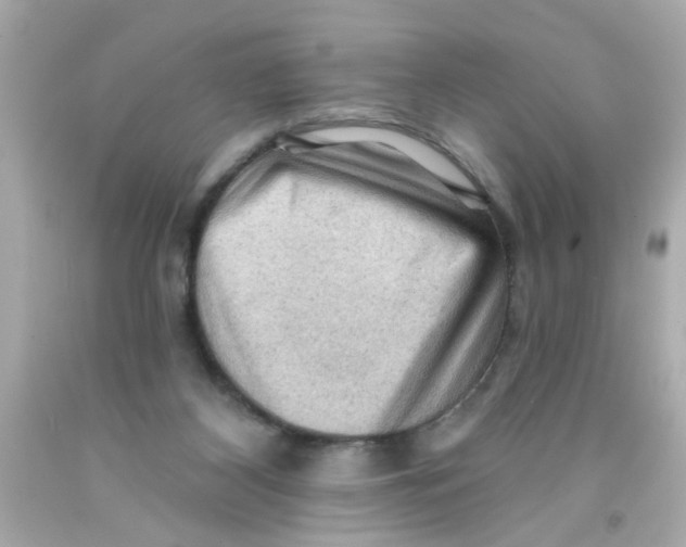 X0000093110116200710241250