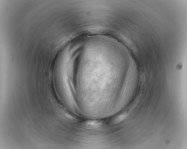 X0000093110117200710241250