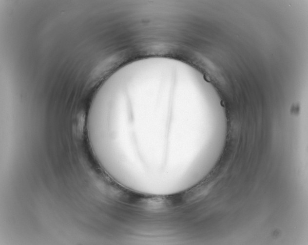 X0000093110118200710241250