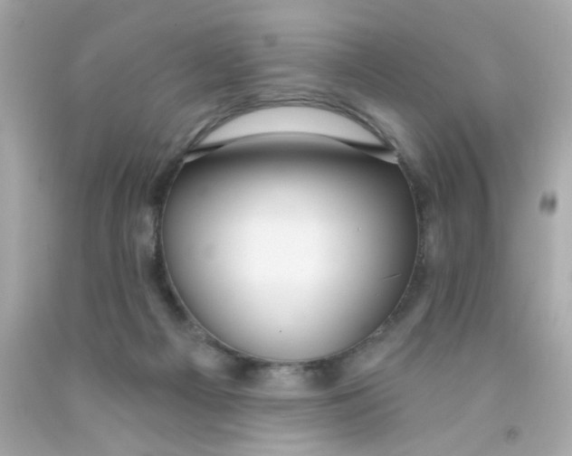 X0000093110121200710241250