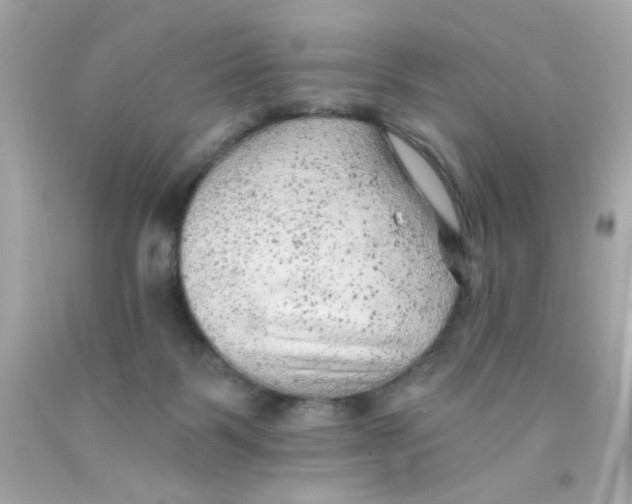 X0000093110123200710241250