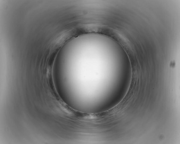 X0000093110125200710241250