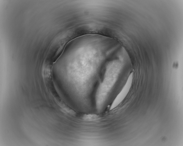 X0000093110137200710241250