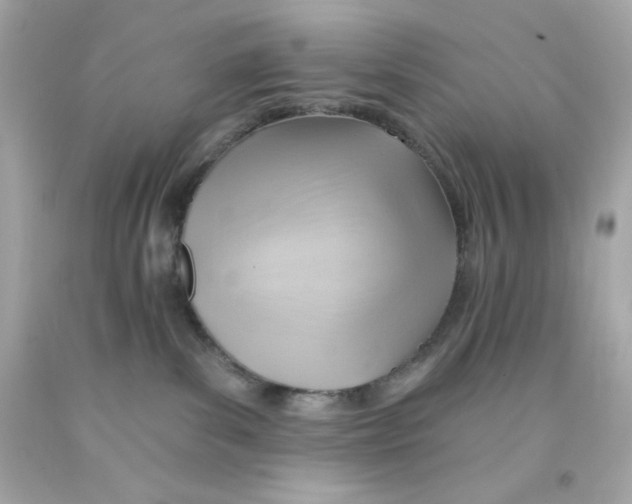 X0000093110139200710241250