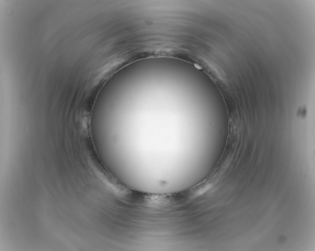 X0000093110141200710241250