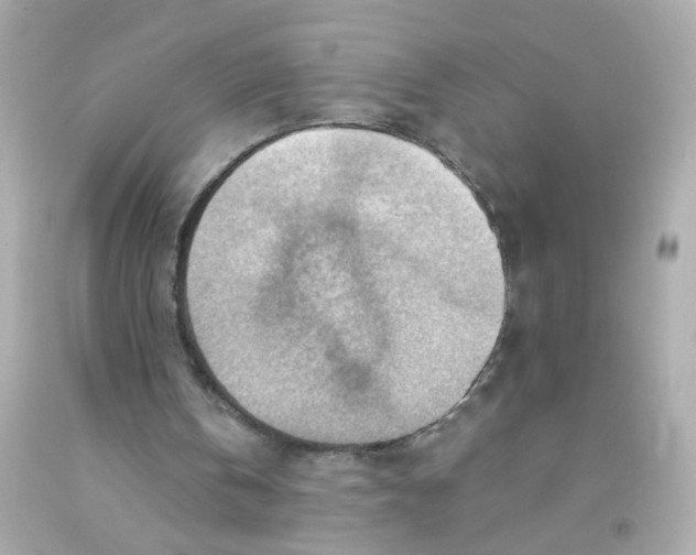 X0000093110146200710241249