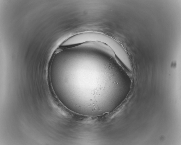 X0000093110148200710241249