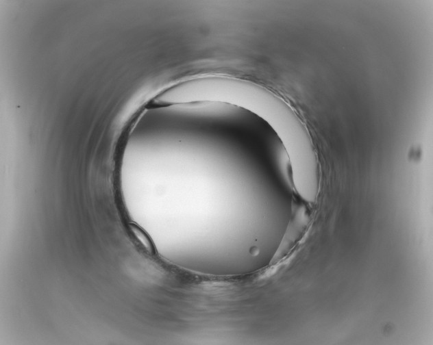 X0000093110150200710241249