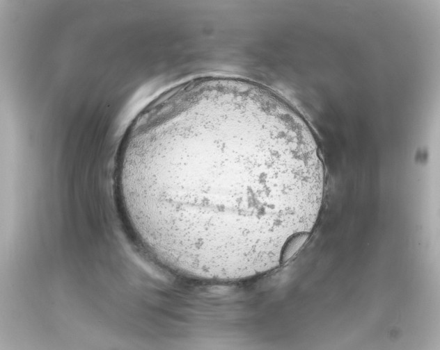 X0000093110151200710241249