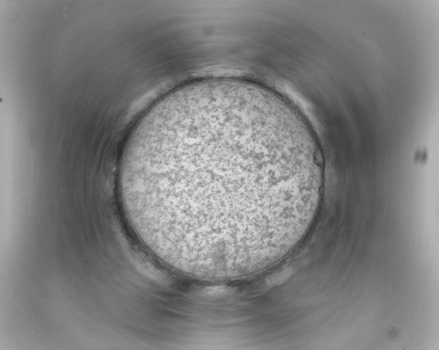 X0000093110153200710241249