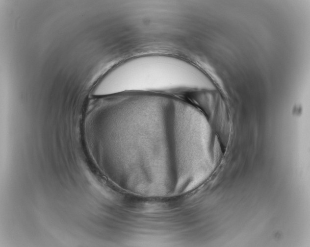 X0000093110154200710241249