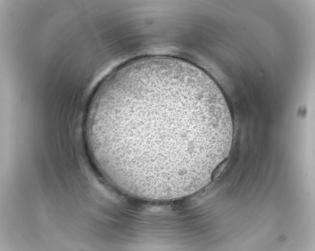 X0000093110155200710241249