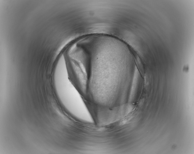 X0000093110156200710241249