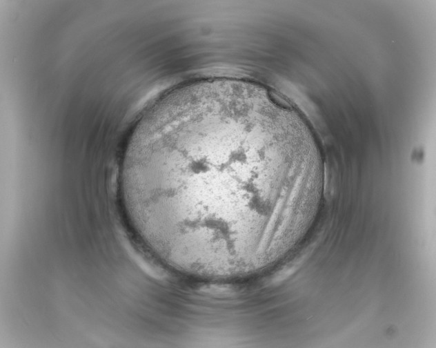 X0000093110157200710241249