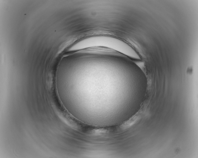 X0000093110158200710241249