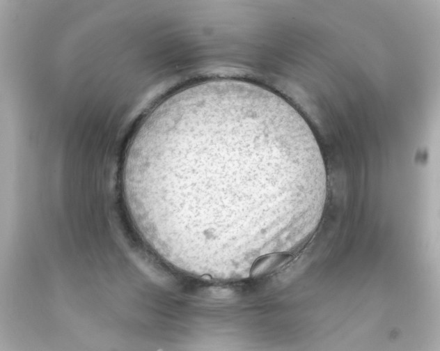 X0000093110159200710241249