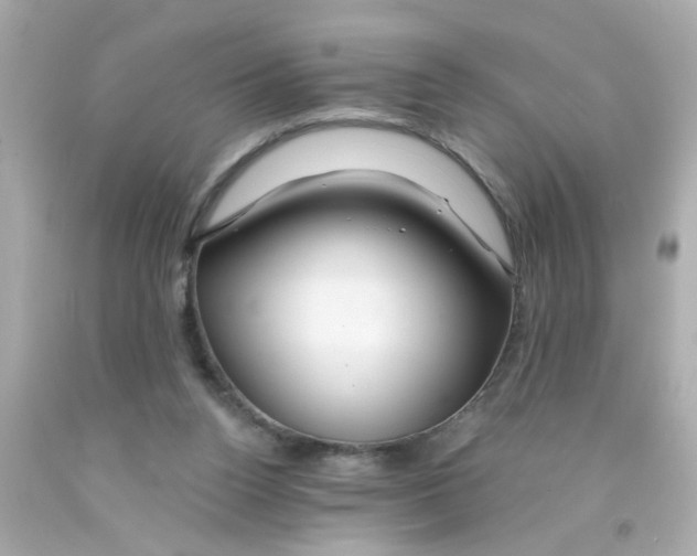 X0000093110160200710241249