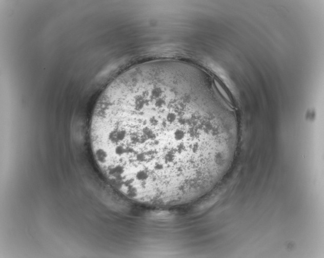 X0000093110161200710241249