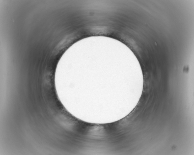 X0000093110162200710241249