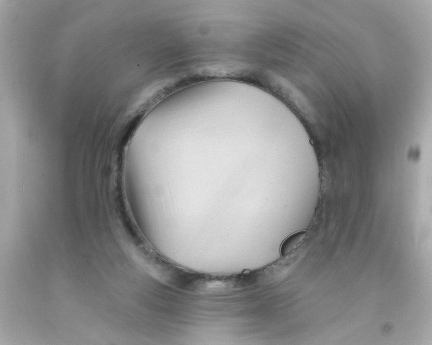 X0000093110163200710241249